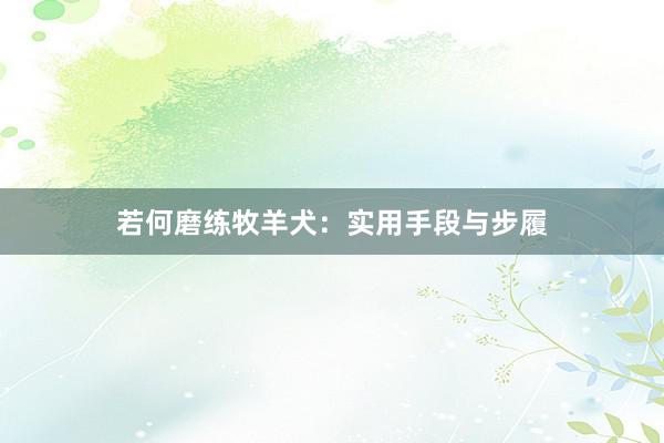 若何磨练牧羊犬：实用手段与步履